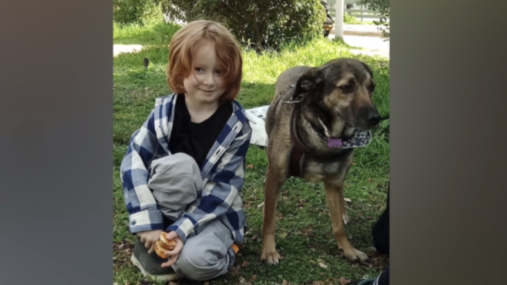 Αρπαγή 6χρονου: Χωρίς τέλος η οικογενειακή διαμάχη για τον 6χρονο Ράινερ