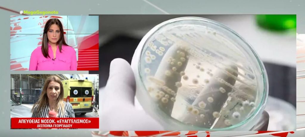 Candida Auris: Συναγερμός για το νέο μύκητα που απειλεί την ανθρωπότητα