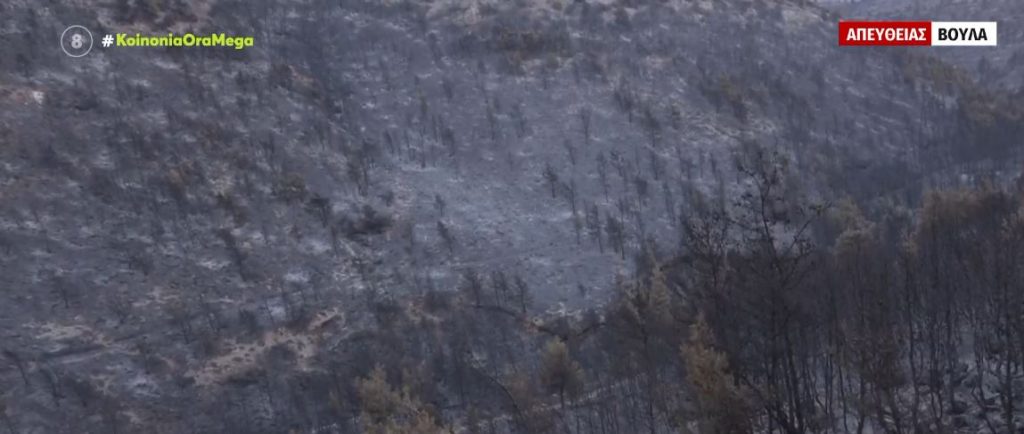 Φωτιά στη Βούλα: Καταστροφική η πρώτη μεγάλη πυρκαγιά σε οικιστικό ιστό – Μετρούν πληγές