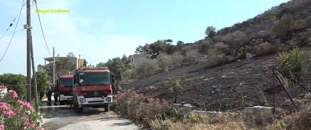 Σε ύφεση η φωτιά στη Λούτσα – Σε επιφυλακή η Πυροσβεστική