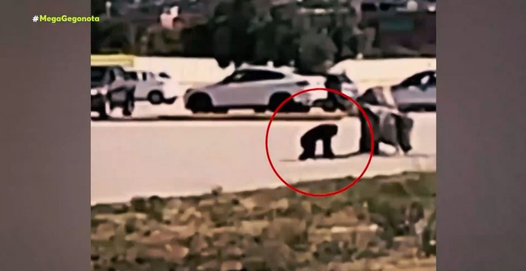 Χιμπατζής το έσκασε από το κλουβί του και θανατώθηκε από τους υπεύθυνους