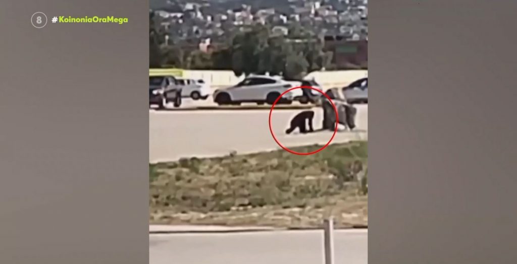 Αλέξης Κούγιας: «Ποινικό αδίκημα η θανάτωση του χιμπατζή»