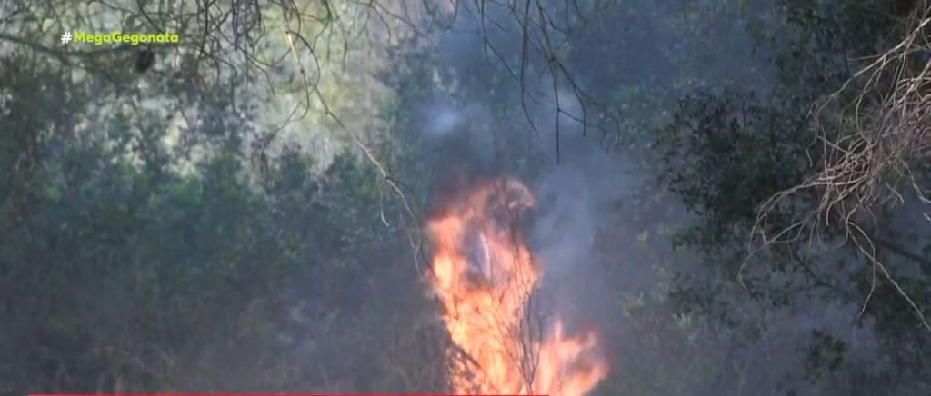 Αρτέμιδα: Κοντά σε κατοικημένη περιοχή η φωτιά