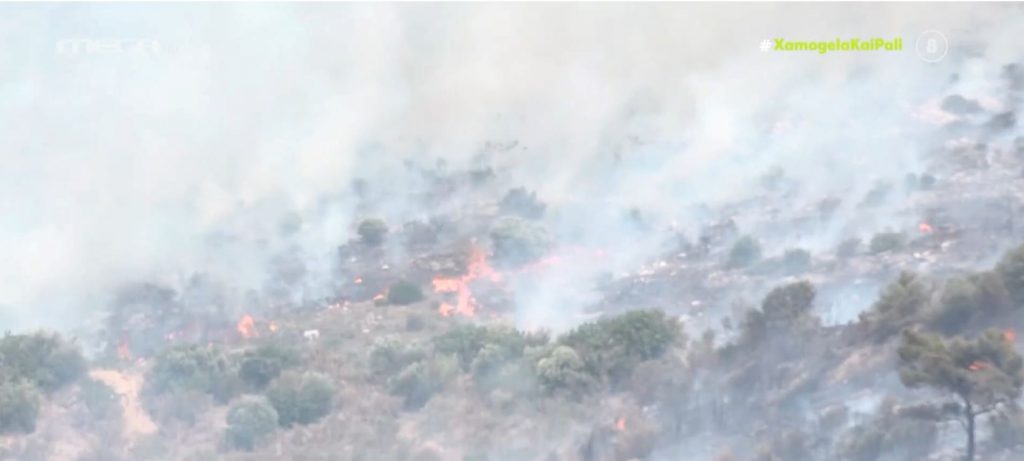 Μάχη με τις φλόγες έδωσαν οι δυνάμεις της πυροσβεστικής σε Άνω Γλυφάδα, Πανόραμα Βούλας και Βάρη