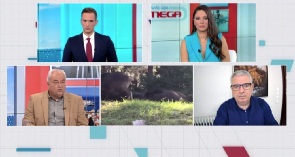 Υπερπληθυσμός αγριογούρουνων: Τα αίτια και η αντιμετώπιση του φαινομένου