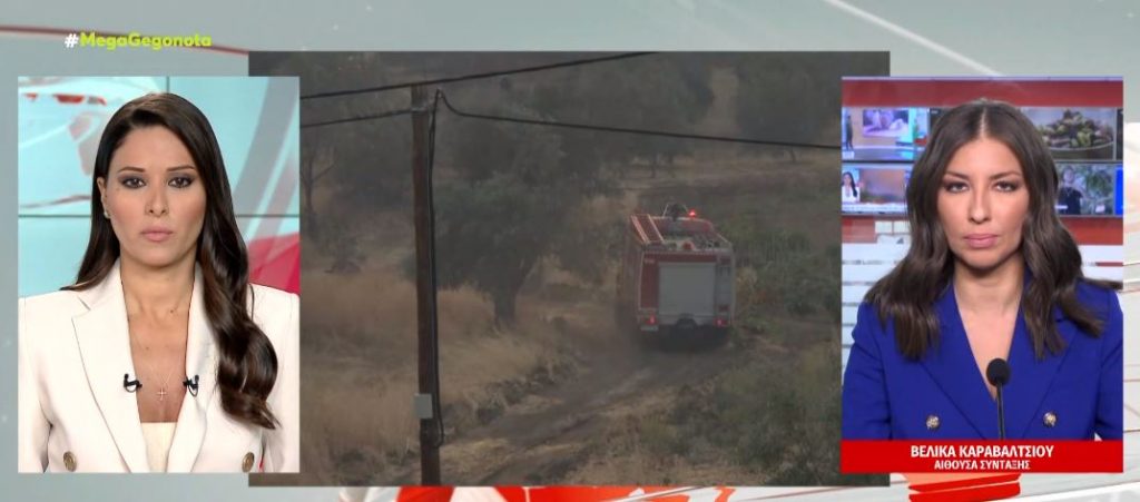 «Πορτοκαλί» συναγερμός για εκδήλωση πυρκαγιών – Ποιες περιοχές κινδυνεύουν
