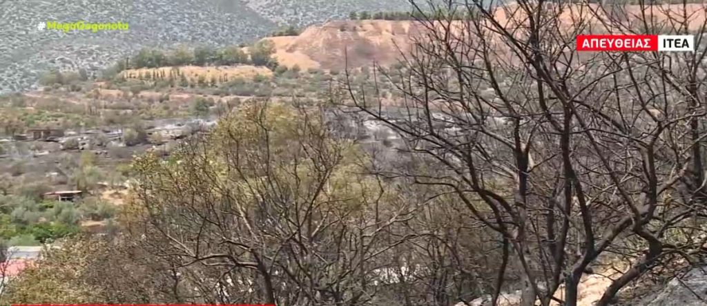 Ιτέα: Μετά την νύχτα θρίλερ σε κατάσταση ύφεσης οι πυρκαγιές