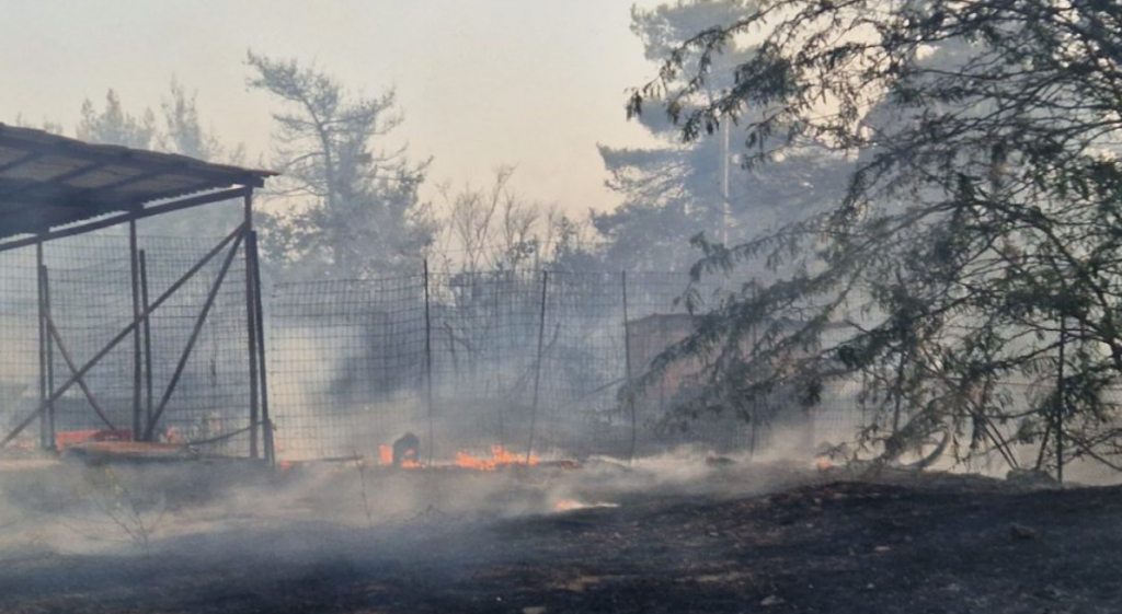 Φωτιές: Φόβοι για αναζωπυρώσεις στα πύρινα μέτωπα – Επί ποδός η Πυροσβεστική