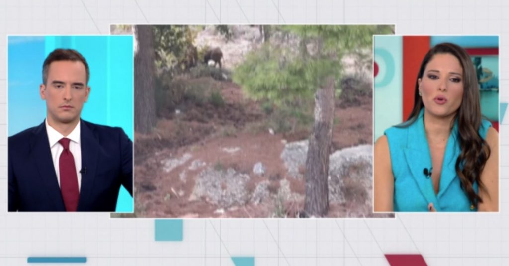 Κιλκίς: Δύο νεκροί σε τροχαίο με εμπλοκή Ι.Χ και αγέλης αγριογούρουνων