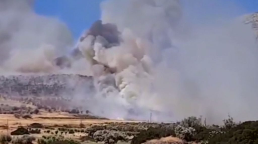 Ανάβυσσος: Φωτιά στην Φέριζα Σαρωνικού – Δίπλα σε σπίτια οι φλόγες