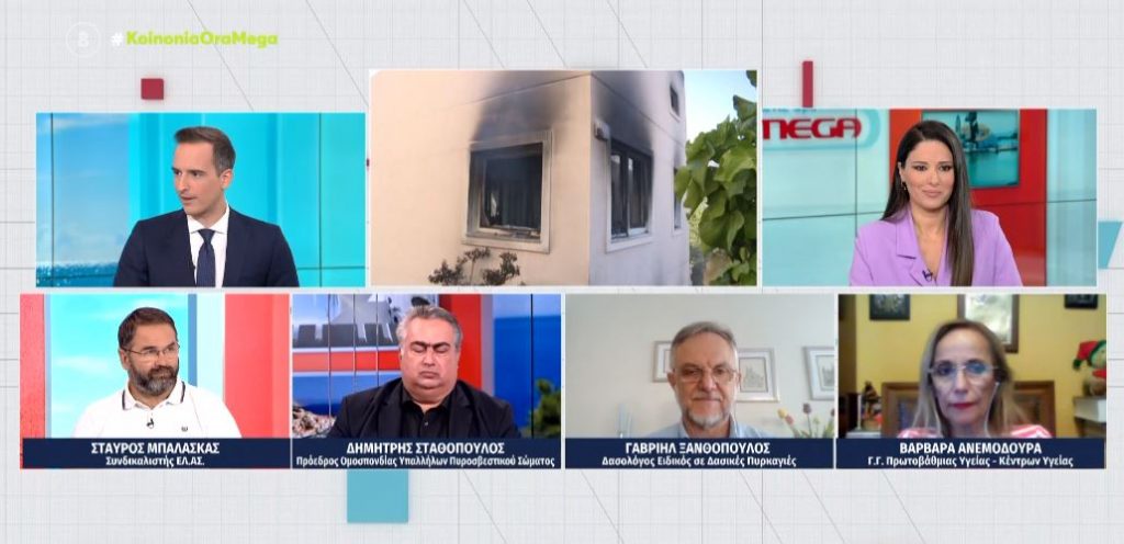 Η επόμενη μέρα από τις πυρκαγιές – Η αξιολόγηση των επιχειρησιακών κινήσεων