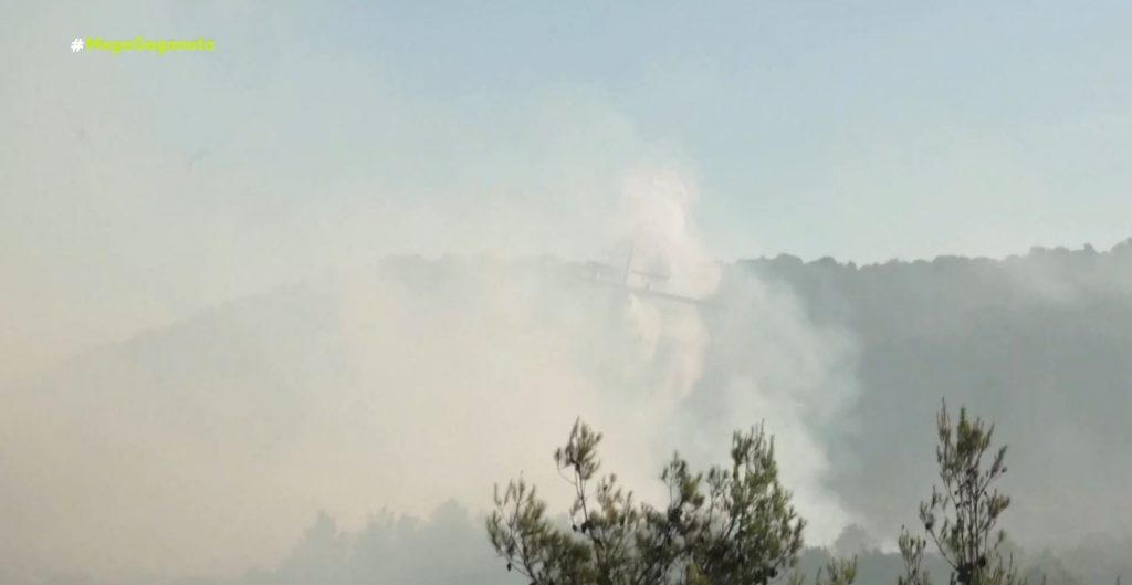Υπό το έλεος καταστροφικών πυρκαγιών η Ευρώπη