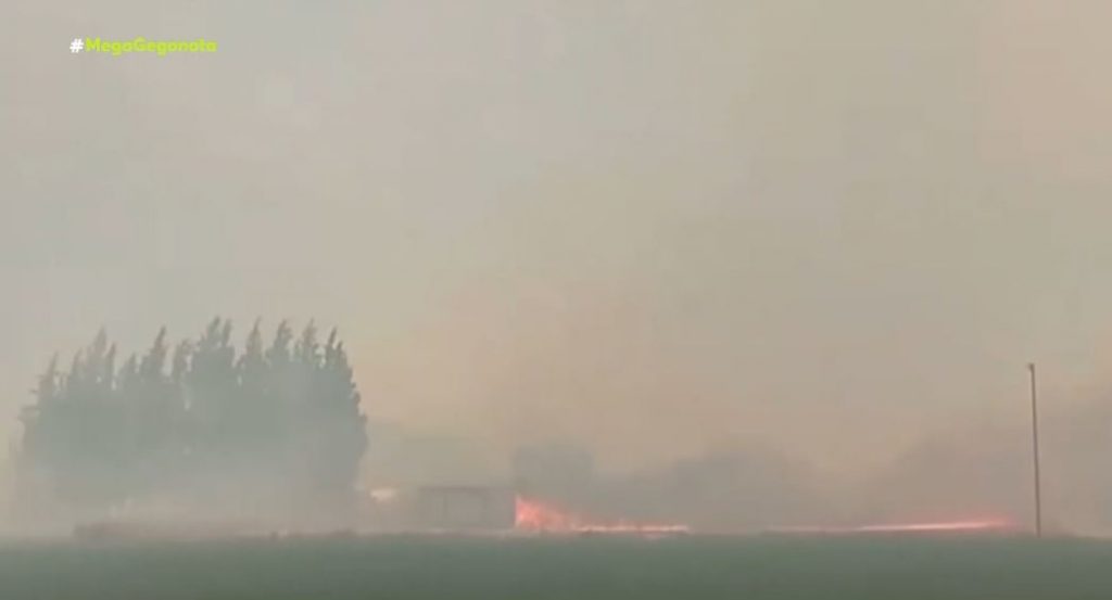 Πύρινος εφιάλτης σε Σχηματάρι και Ηλεία – Μάχη για να σωθούν περιουσίες