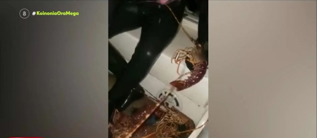 Εύβοια: Ψαροντουφεκάς «νταής» συνελήφθη για πολλοστή φορά