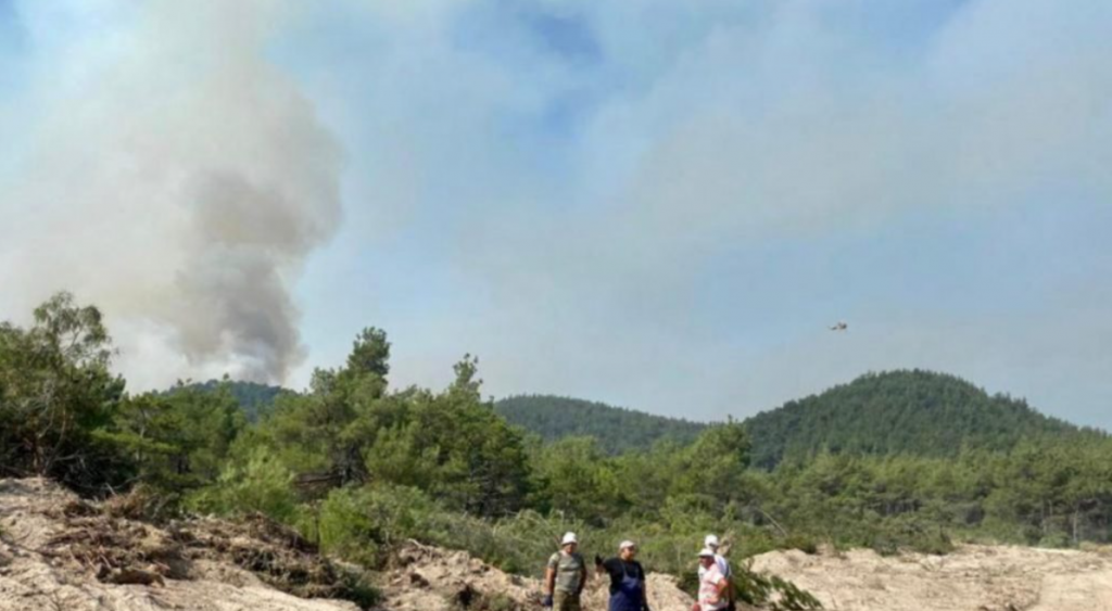 Δαδιά: Μαίνεται η φωτιά που καταστρέφει το προστατευόμενο δάσος