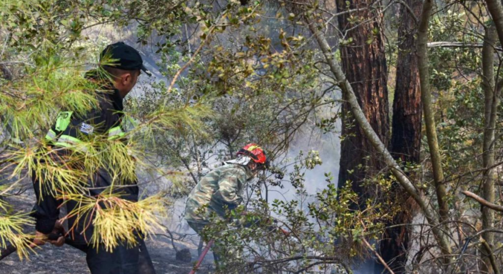 Ηλεία: Μνήμες από την πυρκαγιά του 2007 – Εκκενώθηκαν οικισμοί