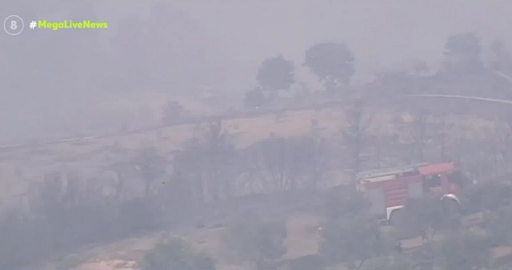 Αναζωπύρωση στην πυρκαγιά στην Ηλεία
