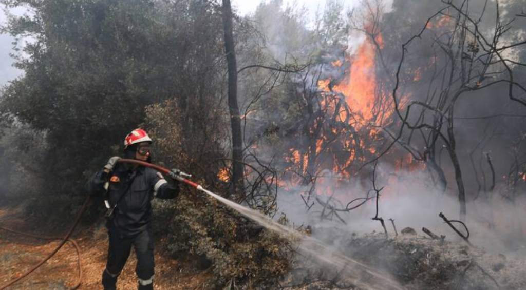 Φωτιές: Μεγάλες πυρκαγιές σε Έβρο & Λέσβο