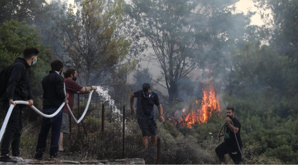 Δαδιά: Μάχη με τις φλόγες & τον χρόνο για το προστατευόμενο δάσος