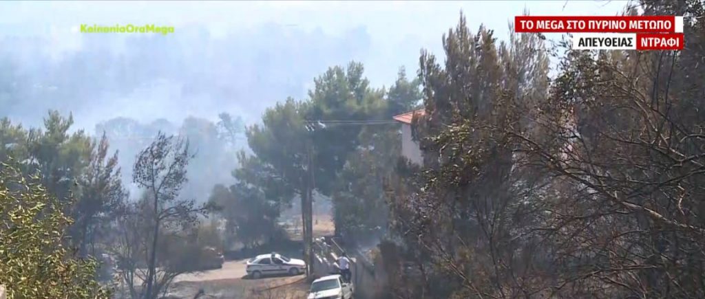 Φωτιά στην Παλλήνη: «Ανυπολόγιστη η καταστροφή στο φυσικό περιβάλλον» – Σφοδροί άνεμοι δυσχεραίνουν το έργο των πυροσβεστών