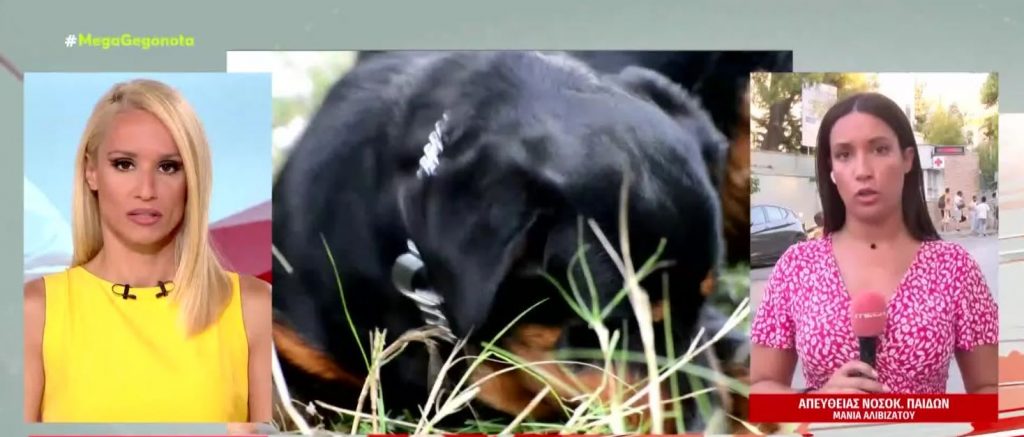 Εύβοια: Ροντβάιλερ επιτέθηκε και δάγκωσε στον λαιμό 6χρονο αγοράκι