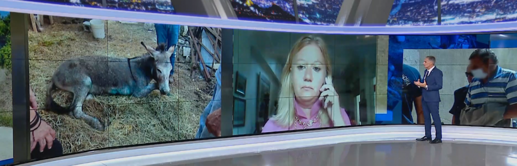 Ζίτσα: Στην εκπομπή LIVE NEWS η δικηγόρος της Πανελλαδικής Φιλοζωικής & Περιβαλλοντικής Ομοσπονδίας