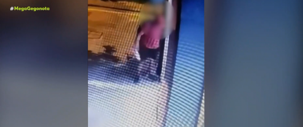 Θεσσαλονίκη: Ποδοπάτησε εν ψυχρώ νεογέννητο γατάκι και έφυγε ανενόχλητος