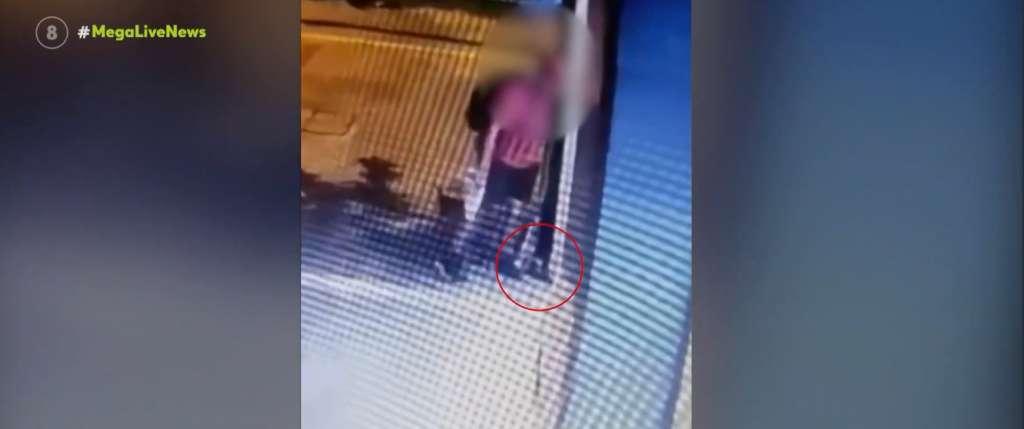 Θεσσαλονίκη: Άνδρας σκότωσε γατάκι – Το τσαλαπάτησε και έφυγε ανενόχλητος