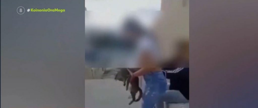 Κρήτη: Πρόστιμο 5.000 ευρώ στην ανήλικη που κλώτσησε γατάκι