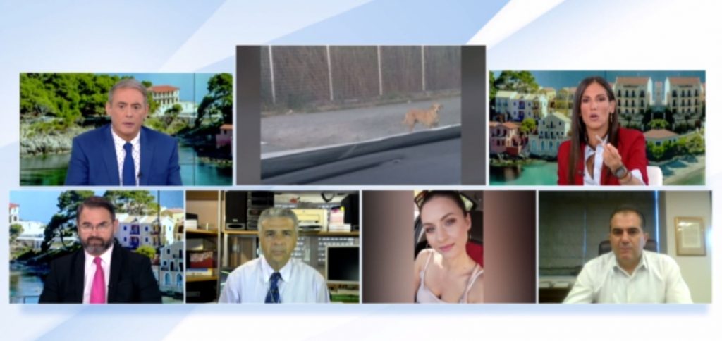 Καλαμάτα: Ξεσπά ο σύζυγος της 34χρονης που έπεσε θύμα αγέλης σκύλων – Δεν επενέβη ποτέ η αστυνομία