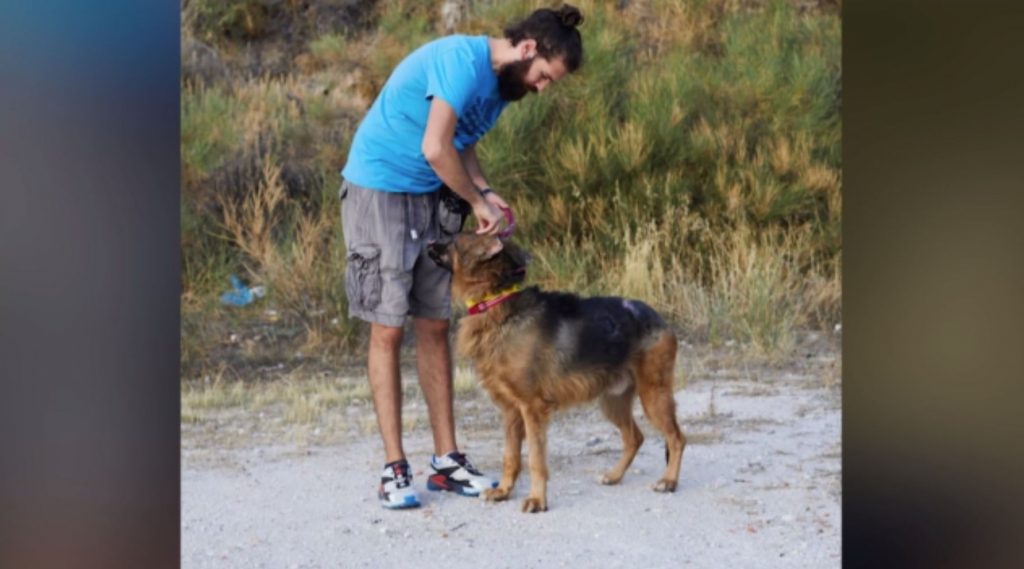 Ανάρρωσε ο καμένος σκύλος της Πεντέλης – Αναζητά τη νέα του οικογένεια