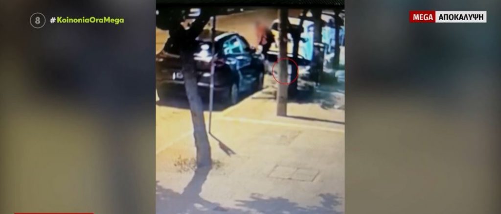 Θεσσαλονίκη: Διδάκτωρ στο ΑΠΘ ο 39χρονος που ποδοπάτησε μέχρι θανάτου το γατάκι