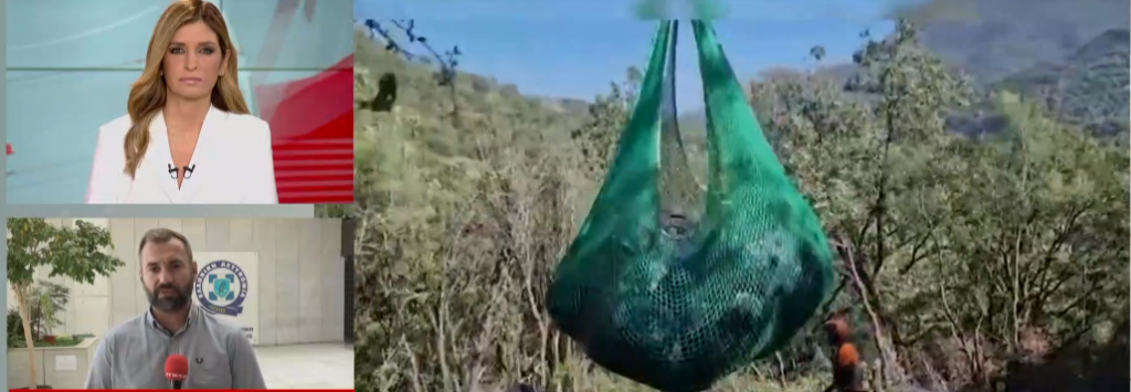 Ηλεία: Εξαρθρώθηκε κύκλωμα παραγωγής και εμπορίας κάνναβης