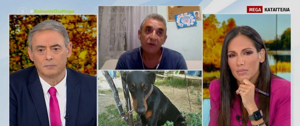 Καρδίτσα: Σκότωσαν τα σκυλιά με φόλες – Τους επικήρυξε με 2.000 ευρώ