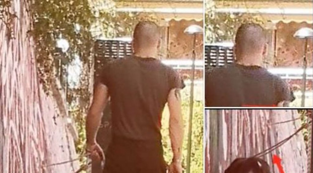 Βύρωνας: Βάζει πιτ μπουλ να σκοτώνει γάτες & τις πετάει στα σκουπίδια – Μαρτυρίες σοκ