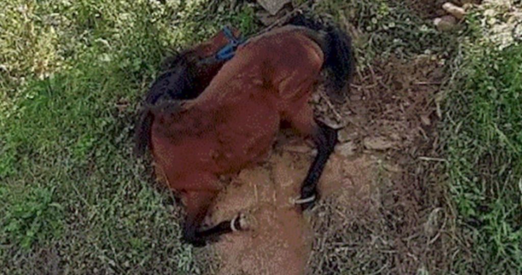 Σοκάρουν οι υποθέσεις κακοποίησης ζώων σε Ύδρα και Τζιά