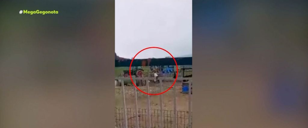 Θεσσαλονίκη: Μήνυση για σκληρή κακοποίηση σκύλου – «Δεν τον χτύπησα» λέει ο ιδιοκτήτης