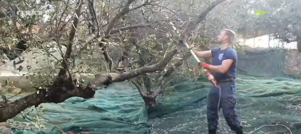 Ανδρέας Ψύλλος: «Θεωρώ χρέος στους παππούδες μου να ασχολούμαι με τη γη που μου άφησαν»