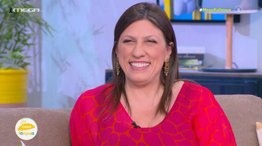 Ζωή Κωνσταντοπούλου: «Εγώ και ο σύντροφός μου δεχτήκαμε άγρια και κανιβαλιστική επίθεση»