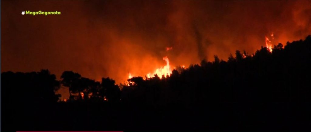 Φωτιά στα Δερβενοχώρια: Ολονύχτια μάχη με τις φλόγες – Ενεργοποιήθηκε το 112 λόγω των καπνών