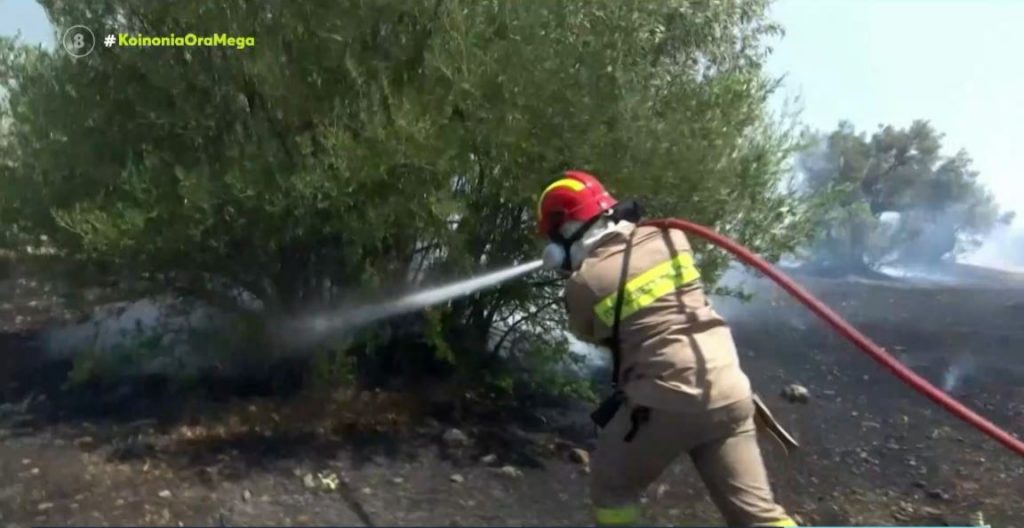 Φωτιά στον Νέο Κουβαρά: Ελεύθερος ο 32χρονος αλλοδαπός που προσήχθη ως ύποπτος