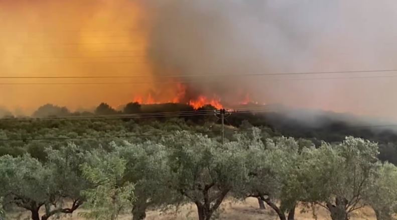 Φωτιές: Στο πλευρό της Πυροσβεστικής και η αστυνομία – Τα πύρινα μέτωπα έχουν προκαλέσει διασπορά δυνάμεων