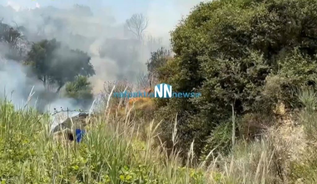 Ναύπακτος: Συνελήφθησαν δύο 13χρονοι για την πυρκαγιά που απείλησε σπίτια