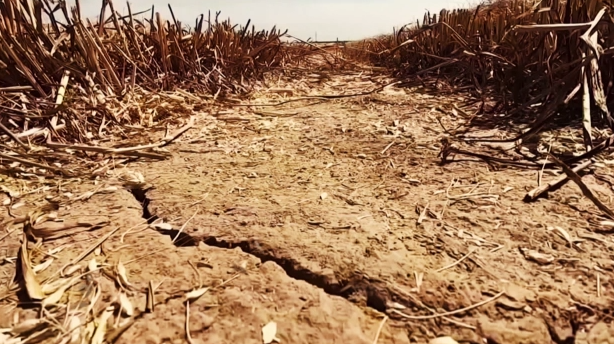 Πυρκαγιές: Εκρηκτικό κοκτέιλ κινδύνου θέτει σε επιφυλακή Πυροσβεστική και Πολιτική Προστασία