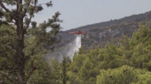 Νέα φωτιά στον Αυλώνα, δύο προσαγωγές για απόπειρα εμπρησμού – To MEGA στα πύρινα μέτωπα