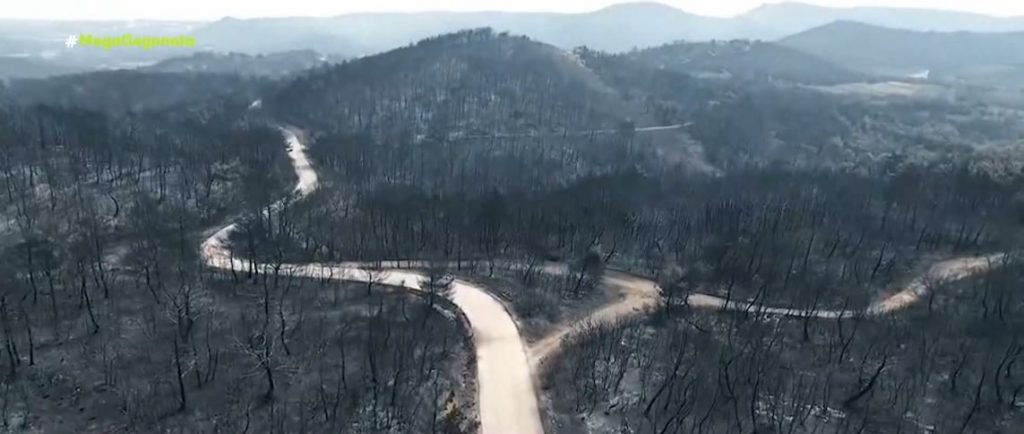 Φωτιά στην Αλεξανδρούπολη: «Μάχη» με τις φλόγες για 10η μέρα στον Έβρο – Εκκενώθηκαν οικισμοί