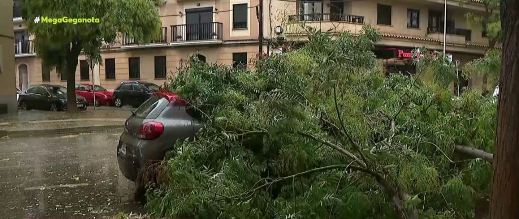 Μαγιόρκα: Τουρίστες τραυματίστηκαν από δένδρα που ξεριζώθηκαν – Πλημμύρισαν δρόμοι