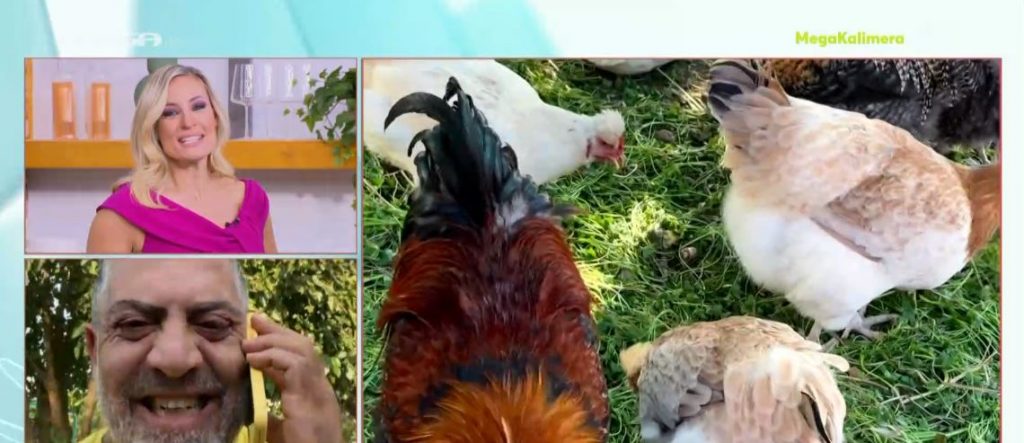 Ο Κούλλης Νικολάου υποδέχεται το «MEGA Καλημέρα» στο αγρόκτημά του στην Κύπρο