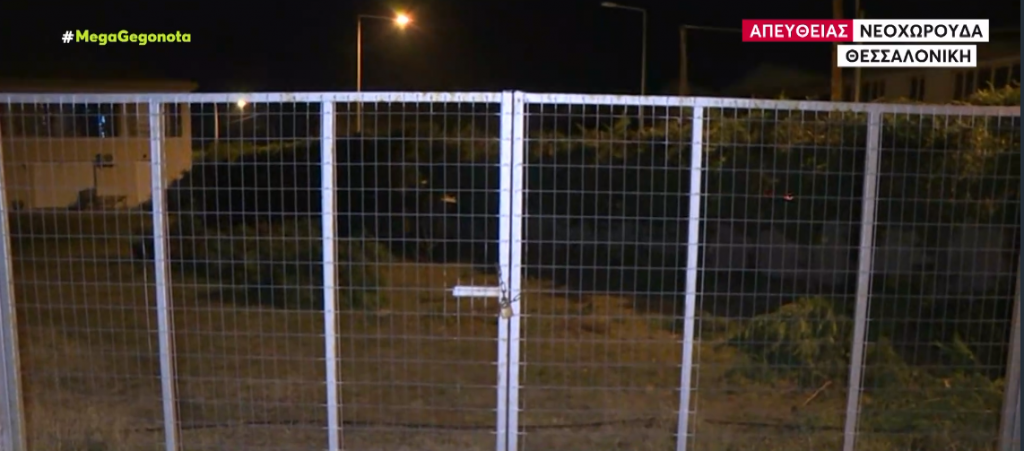 Φρίκη στη Θεσσαλονίκη: Σκυλιά κατασπάραξαν ζωντανή 50χρονη μητέρα δυο παιδιών