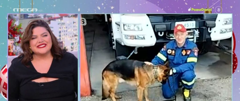 Καλάβρυτα: Βρέθηκε ζωντανός 65χρονος κυνηγός που αγνοείτο – Τον εντόπισε εκπαιδευμένος σκύλος